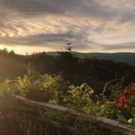 Stunning Views Of Ynyshir & Southern Snowdonia Machynlleth Luaran gambar