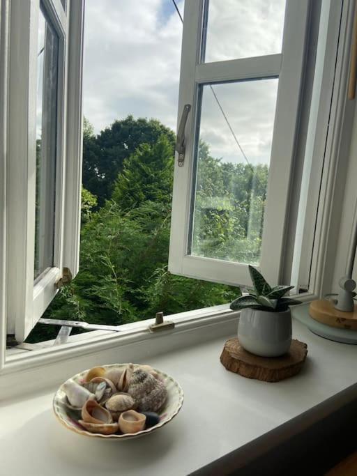 Stunning Views Of Ynyshir & Southern Snowdonia Machynlleth Luaran gambar