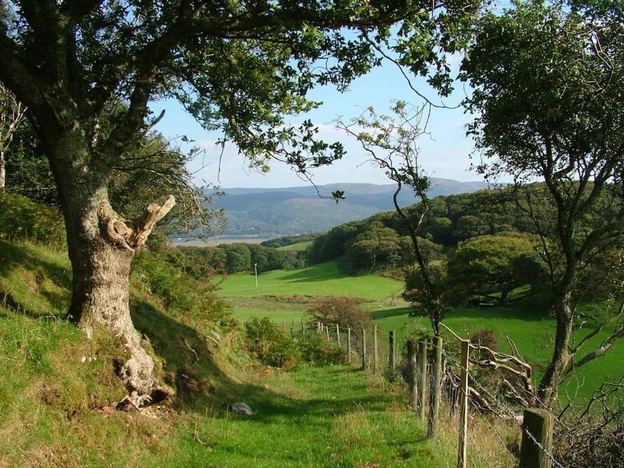 Stunning Views Of Ynyshir & Southern Snowdonia Machynlleth Luaran gambar