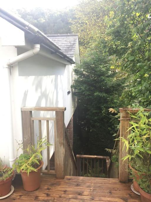 Stunning Views Of Ynyshir & Southern Snowdonia Machynlleth Luaran gambar
