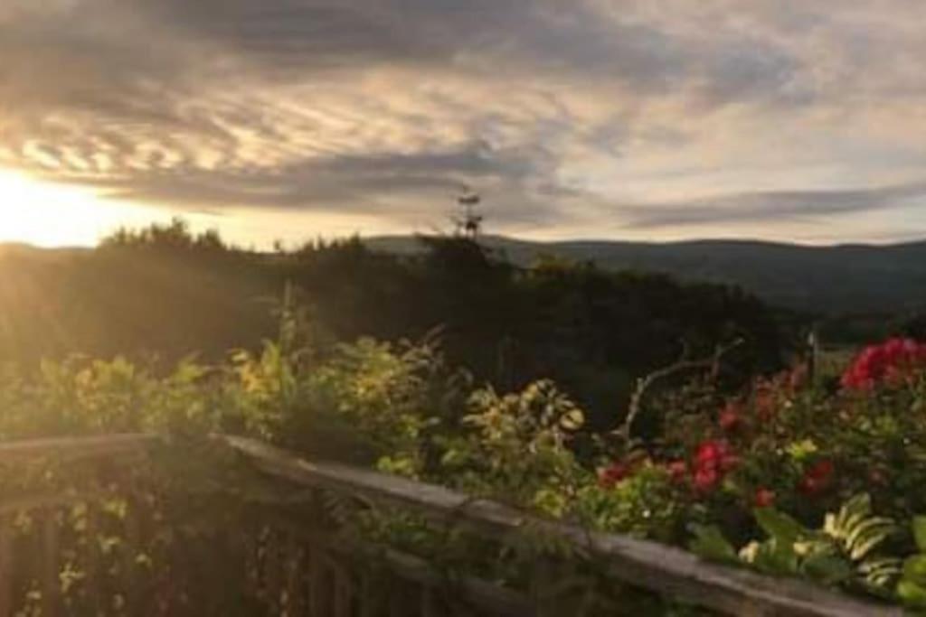 Stunning Views Of Ynyshir & Southern Snowdonia Machynlleth Luaran gambar