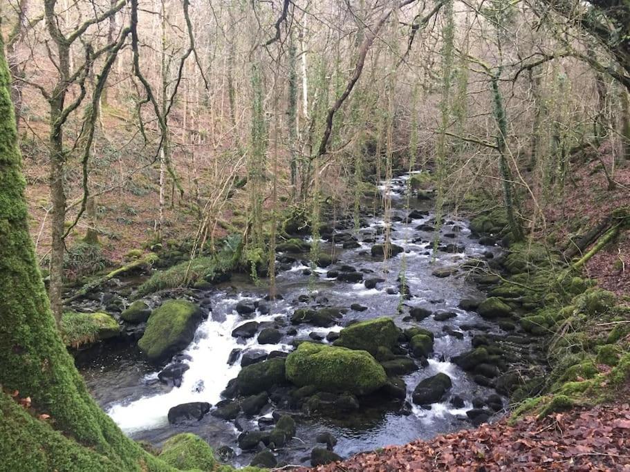 Stunning Views Of Ynyshir & Southern Snowdonia Machynlleth Luaran gambar